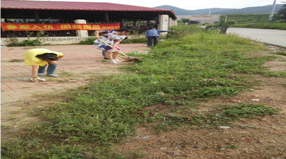 石橋子街道組織志愿者維護(hù)生態(tài)環(huán)境