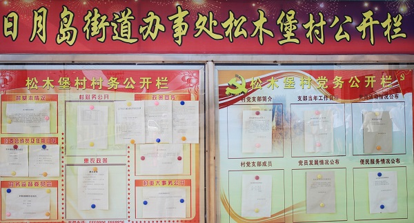 日月島街道舉行2015年村級(jí)標(biāo)準(zhǔn)化建設(shè)拉練推進(jìn)會(huì)暨黨建工作座談會(huì)