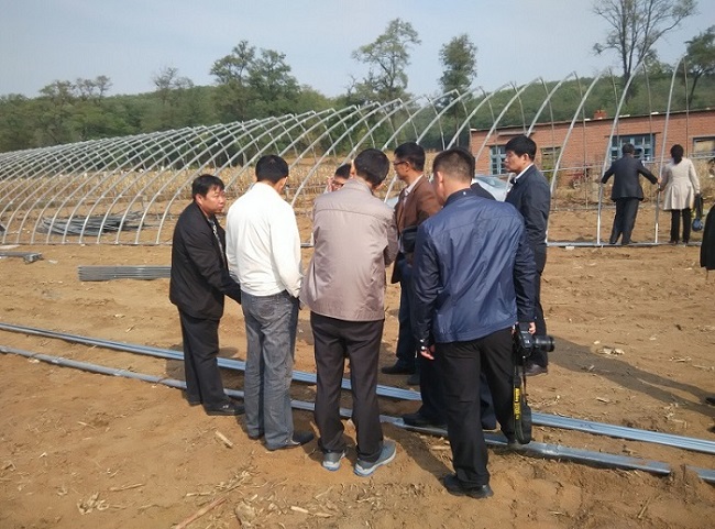 市人大代表視察張其寨地區(qū)農(nóng)業(yè)發(fā)展